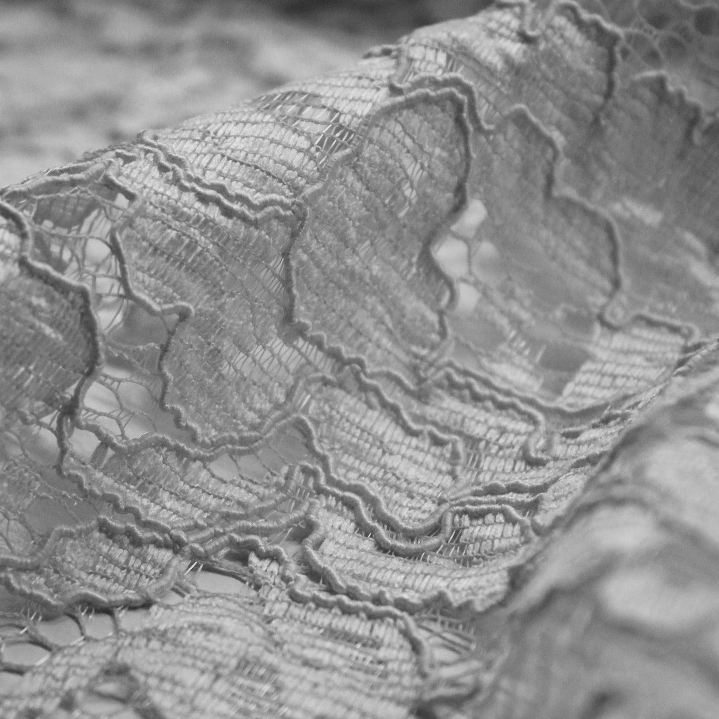 Rebrodè Lace