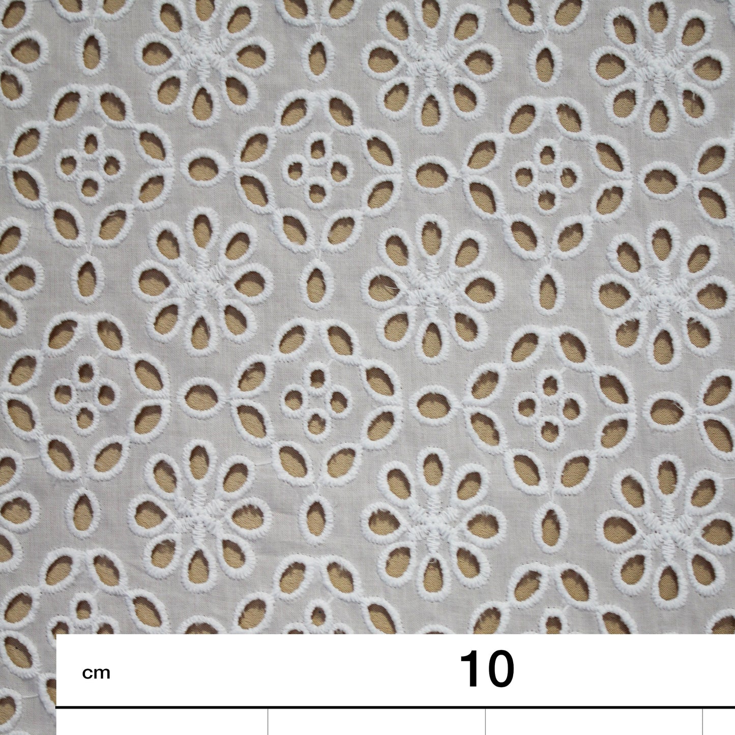 Sangallo Lace