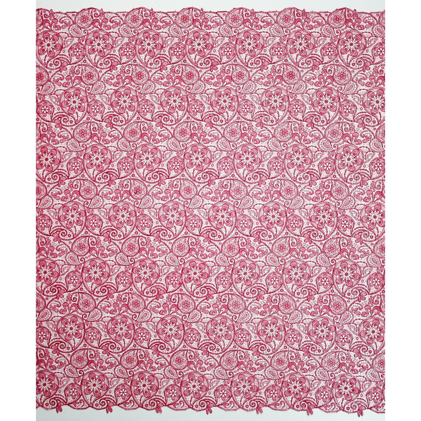 Rete Doppio Bordo Effetto Pizzo Ricamata con Paisley e Paillettes