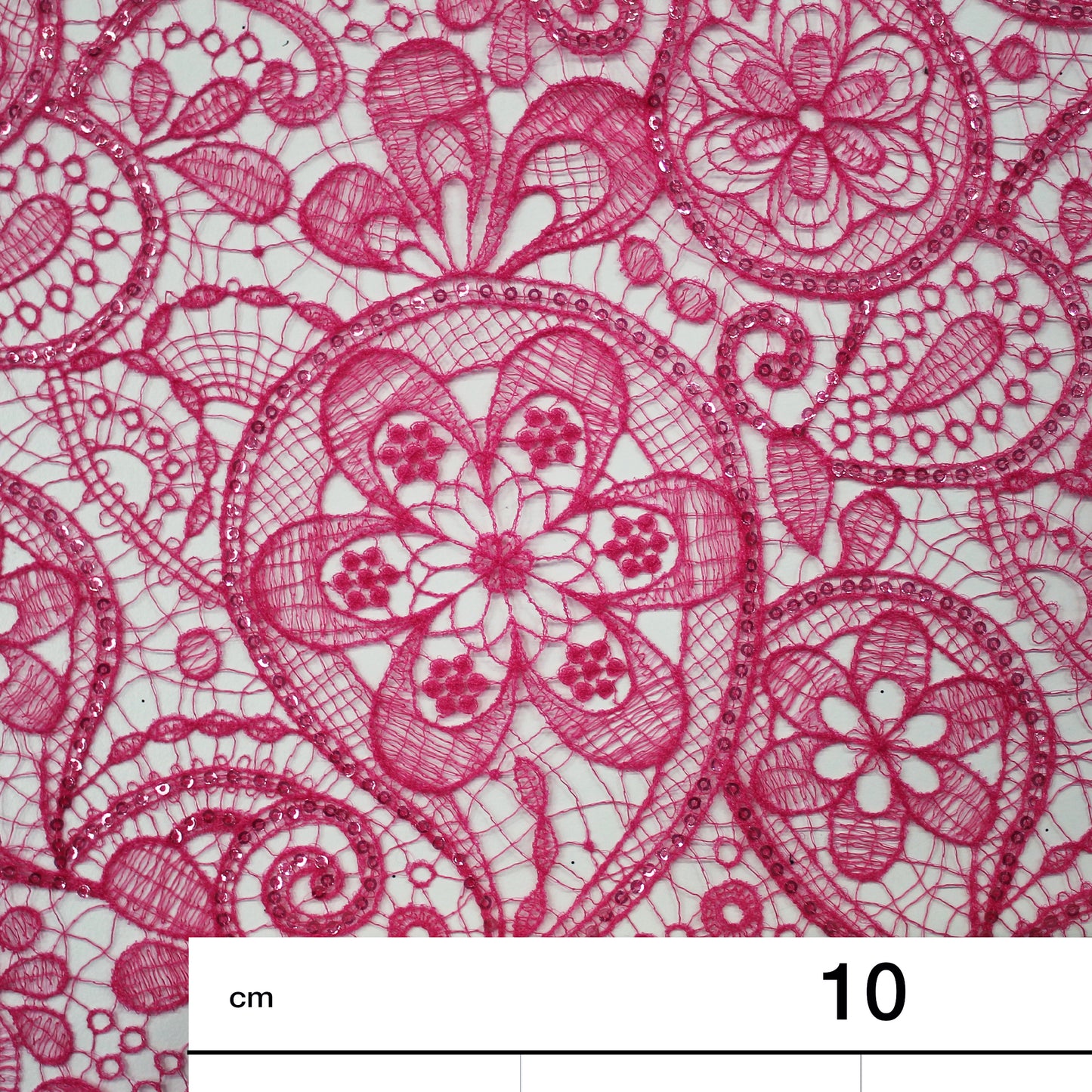 Rete Doppio Bordo Effetto Pizzo Ricamata con Paisley e Paillettes