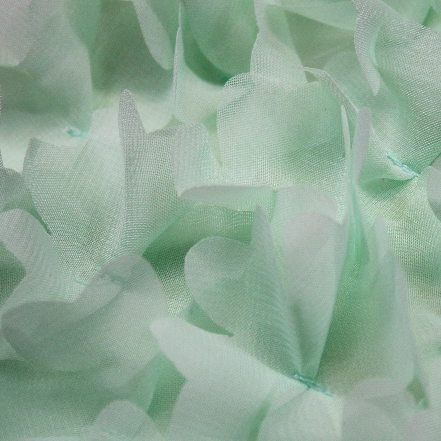 Embroidered Georgette with 3D Flowers and Petals