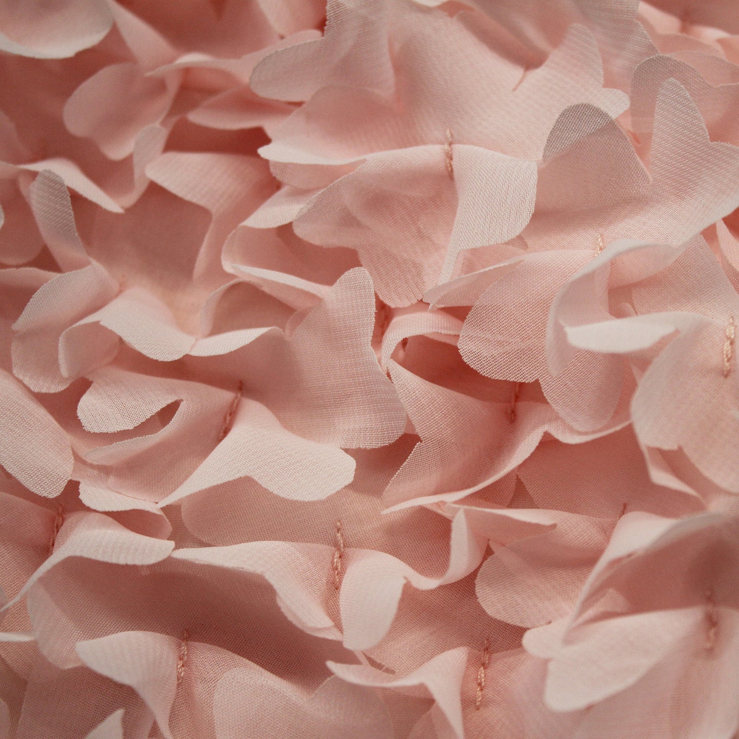 Embroidered Georgette with 3D Flowers and Petals