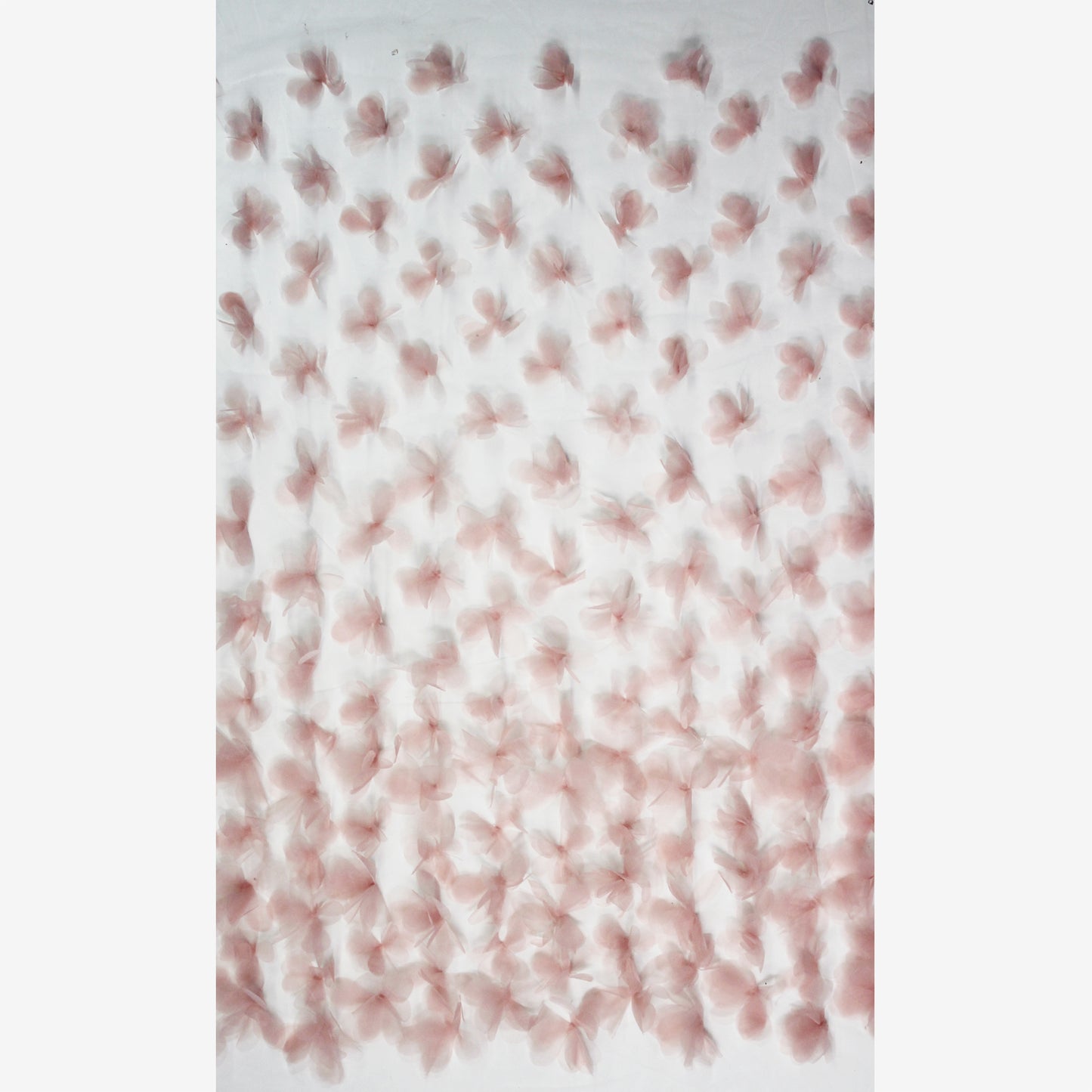 Embroidered Tulle with 3D Flowers in Organza