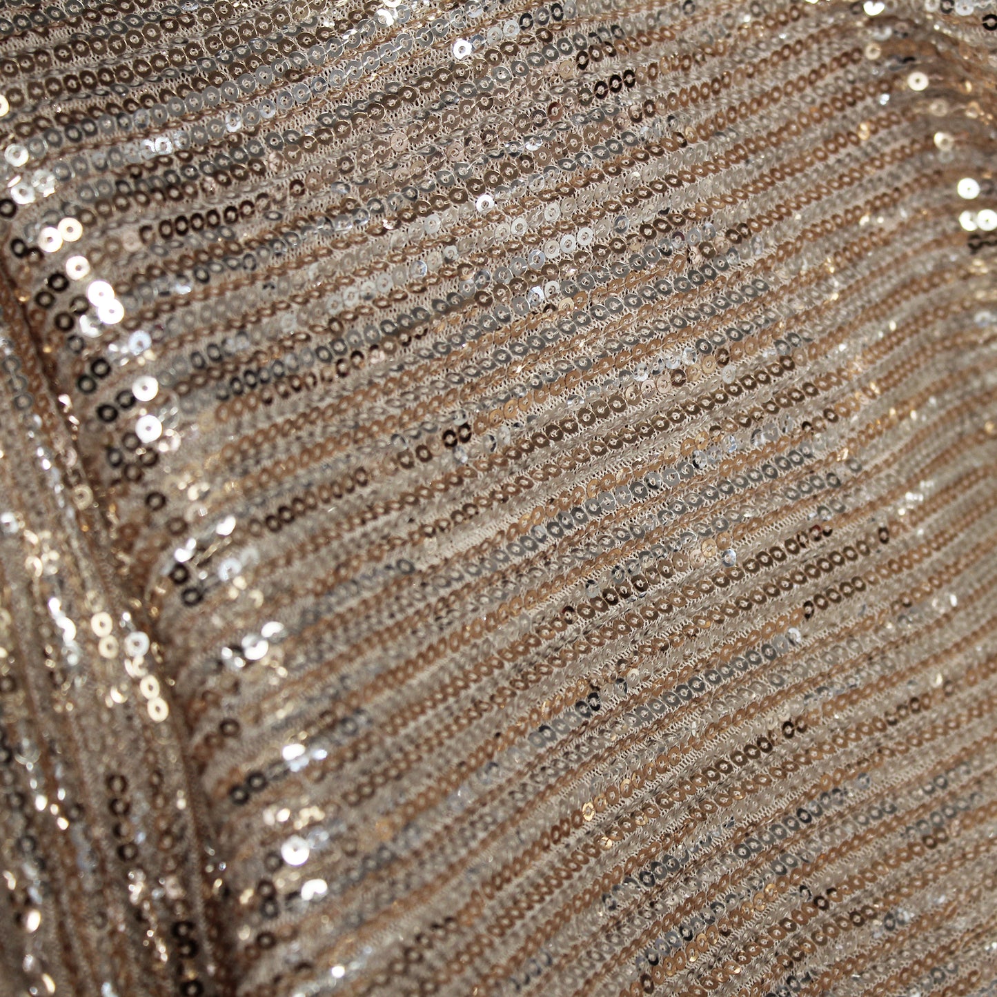 Tulle Ricamato con Paillettes a Campo Pieno in Fasce Verticali