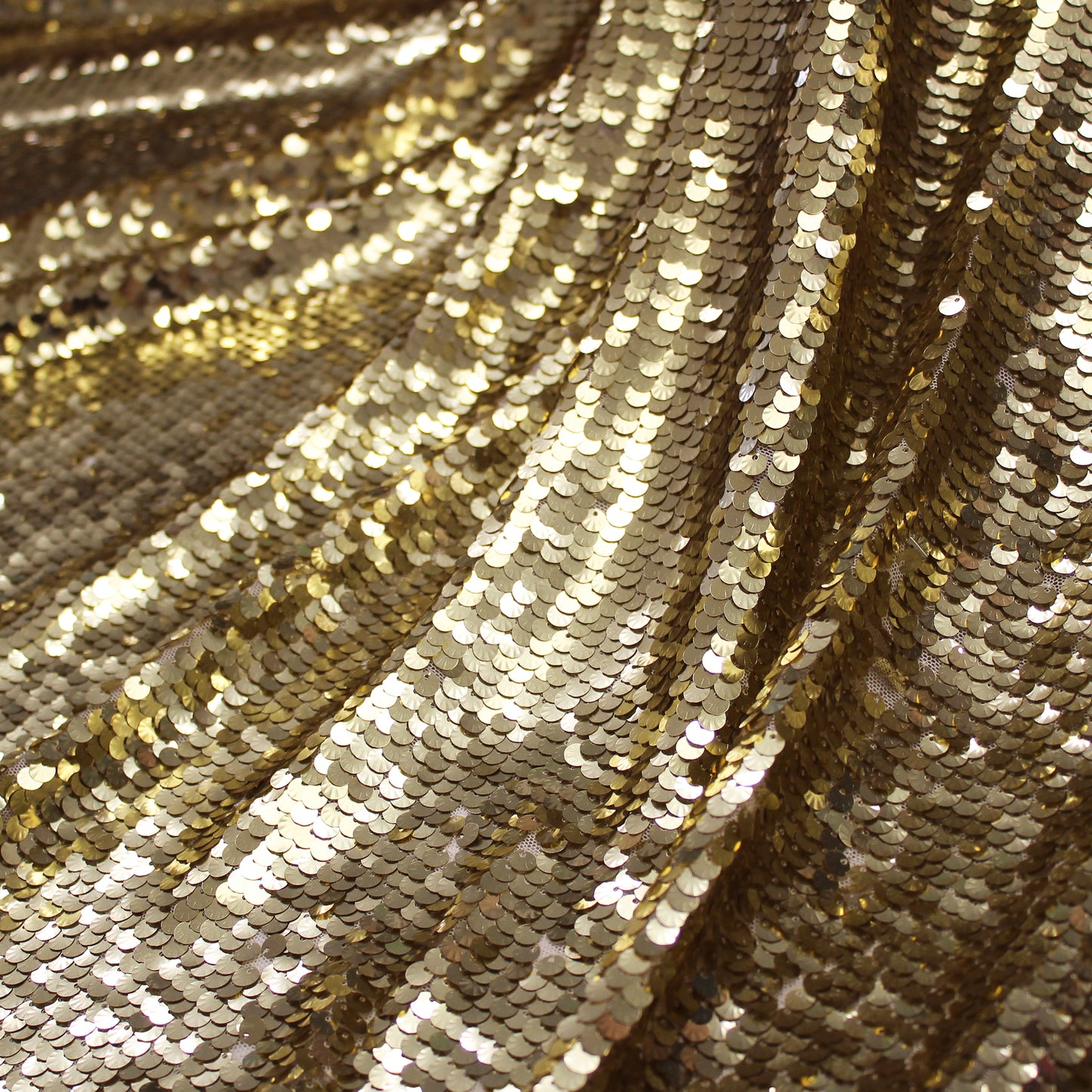 Tulle Ricamato con Paillettes Conchiglia a Campo Pieno