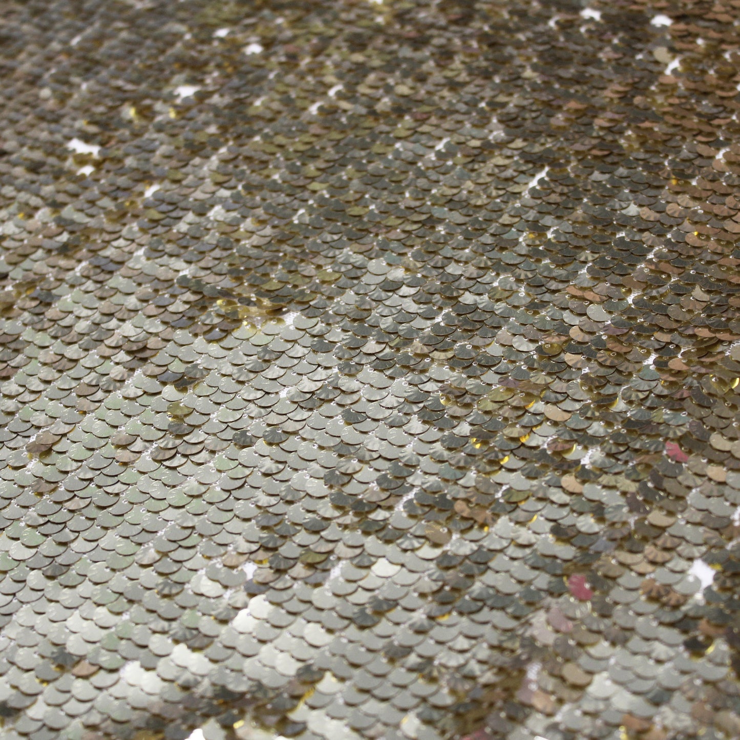 Tulle Ricamato con Paillettes Conchiglia a Campo Pieno