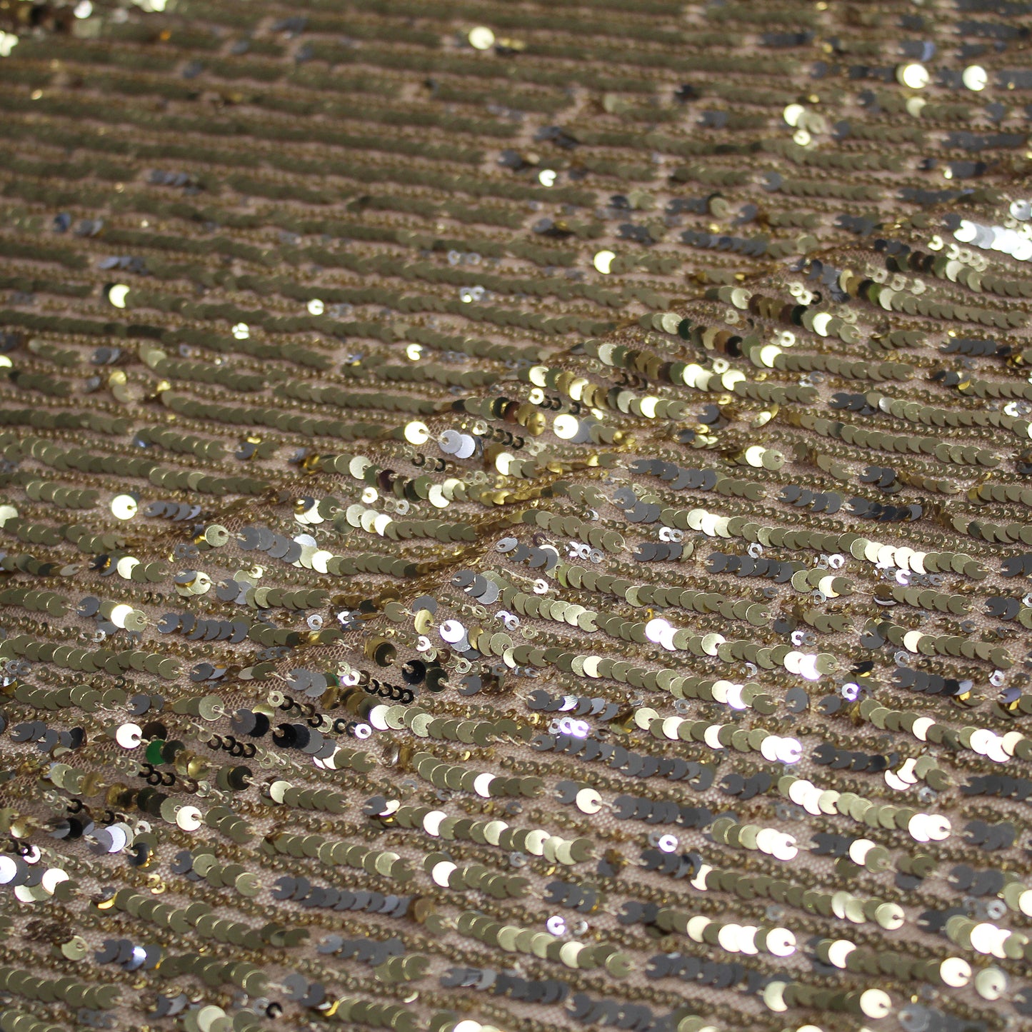 Tulle Ricamato con Paillettes a Fasce Verticali
