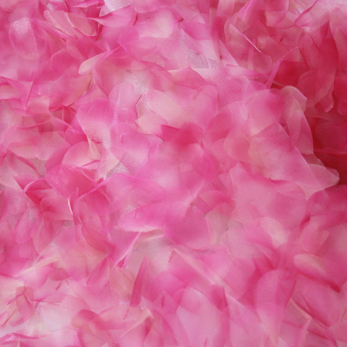 Tulle Ricamato con Petali 3D in Organza con Sfumatura