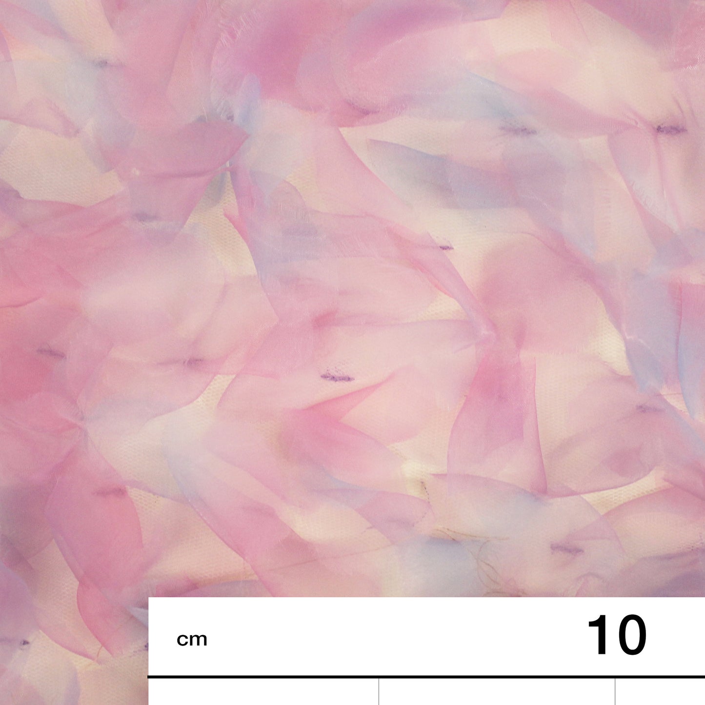 Tulle Ricamato con Petali 3D in Organza con Sfumatura