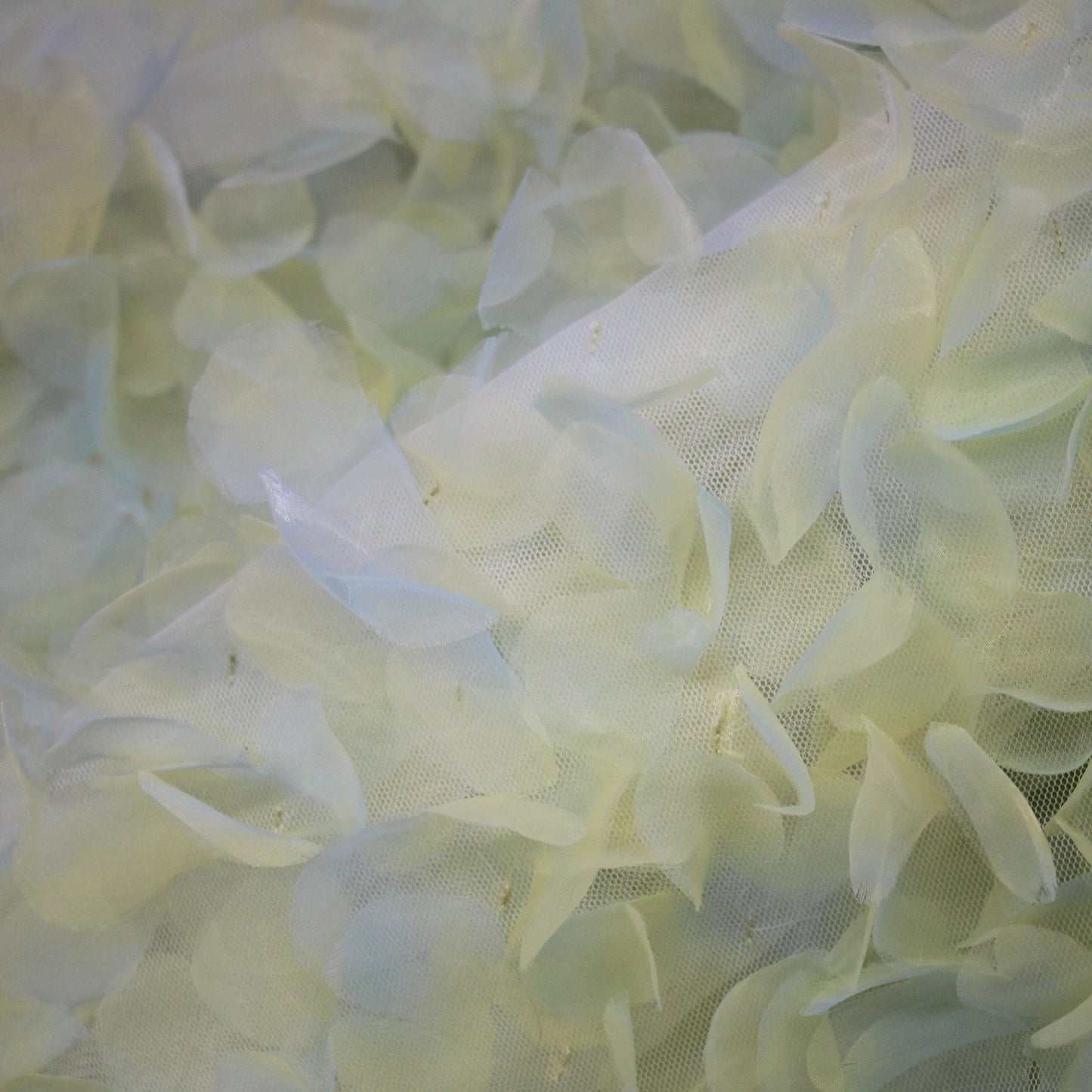 Tulle Ricamato con Petali 3D in Organza con Sfumatura