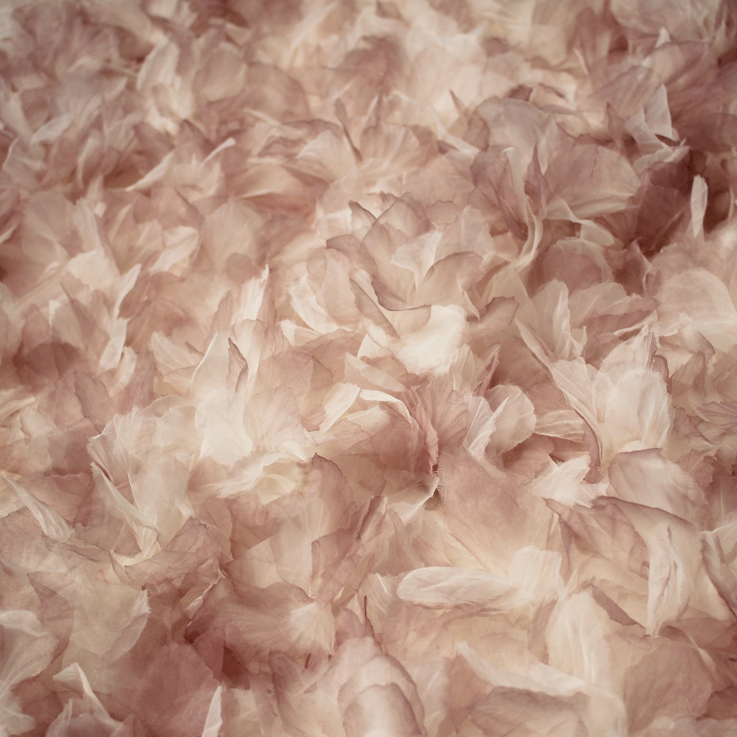 Tulle Ricamato con Petali di Fiori in Organza Multicolor