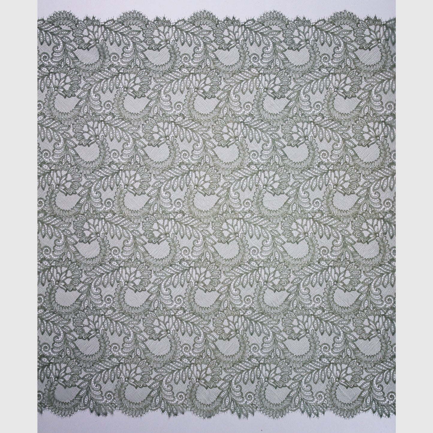 Double Border Embroidered Lace with Flowers and Leaves