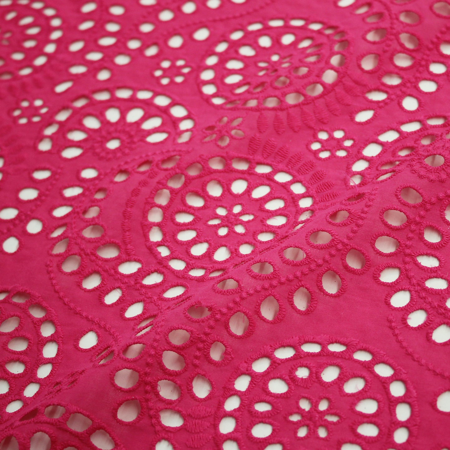 Sangallo Lace with Circles and Abstract Pattern