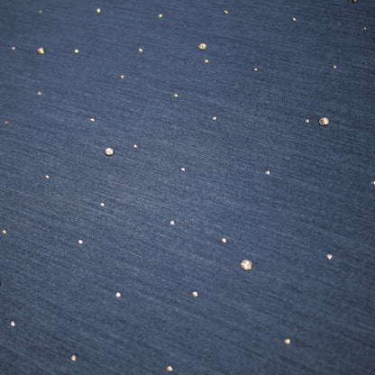 Tessuto Chambray Ricamato con Strass