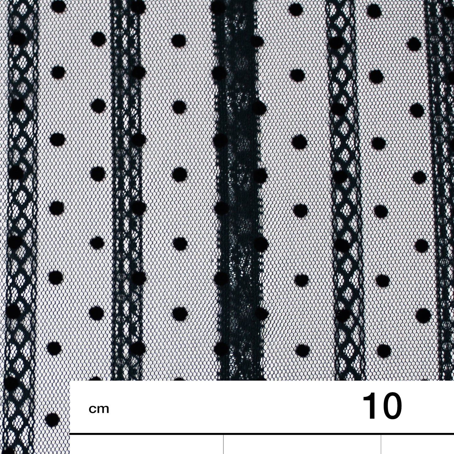 Tulle Flock Pois con Ricamo Effetto Nastro