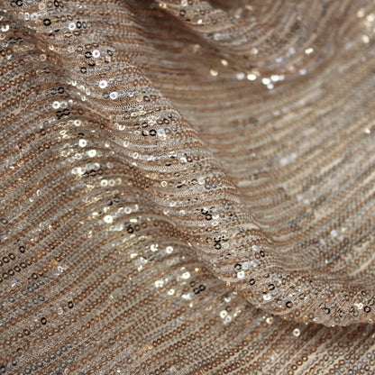 Tulle Ricamato con Paillettes a Campo Pieno in Fasce Verticali
