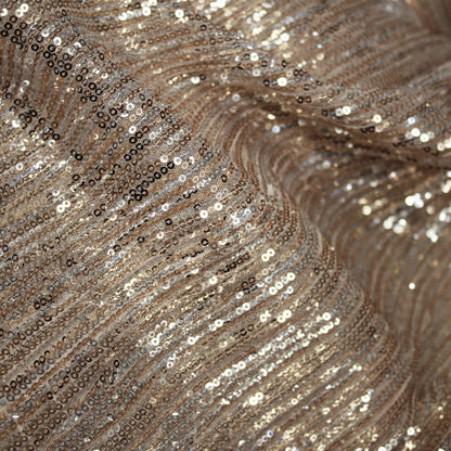 Tulle Ricamato con Paillettes a Campo Pieno in Fasce Verticali