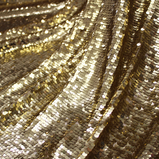 Tulle Ricamato con Paillettes Conchiglia a Campo Pieno
