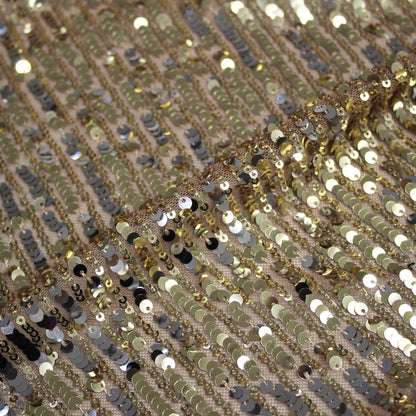 Tulle Ricamato con Paillettes a Fasce Verticali