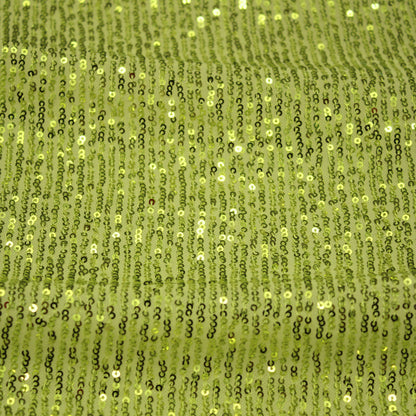 Tulle Ricamato con Paillettes Tono su Tono a Campo Pieno