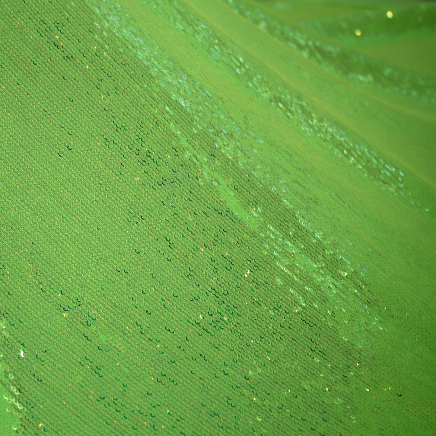 Tulle Ricamato con Paillettes a Campo Pieno Tonalità Fluo