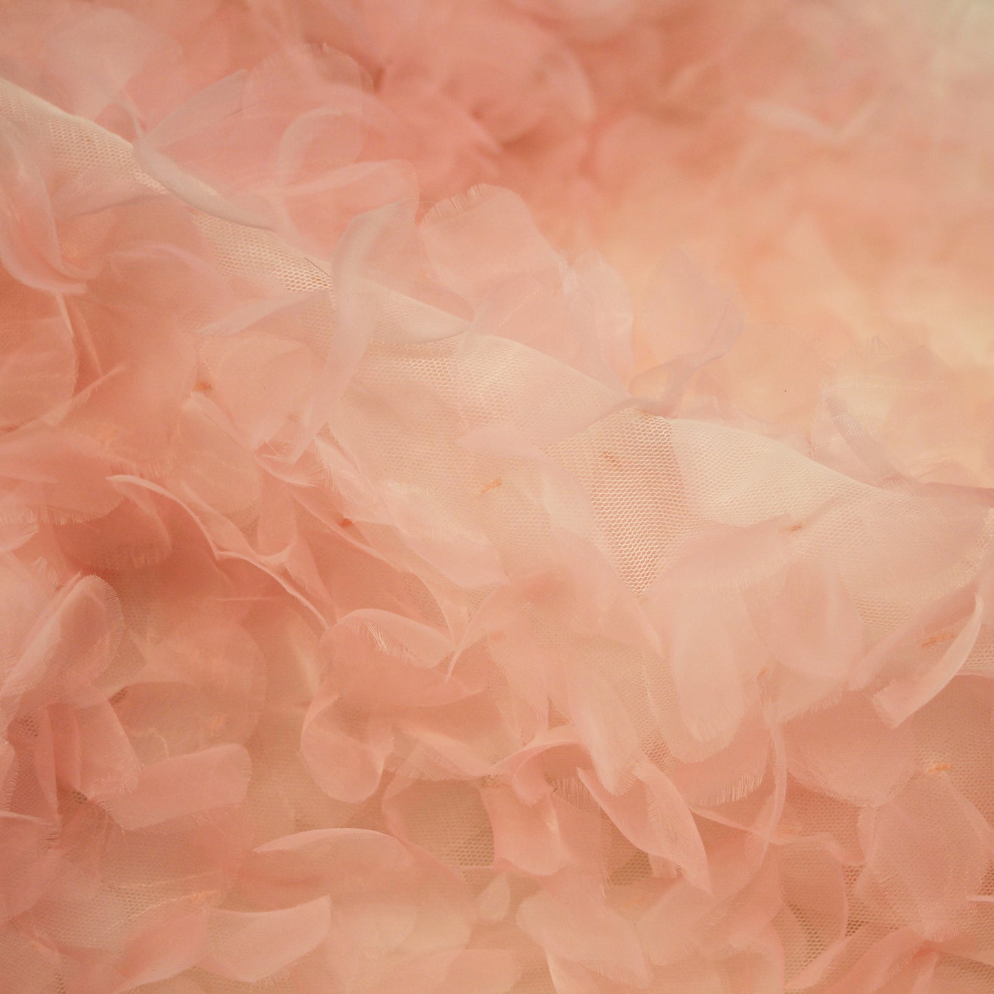 Tulle Ricamato con Petali 3D in Organza con Sfumatura