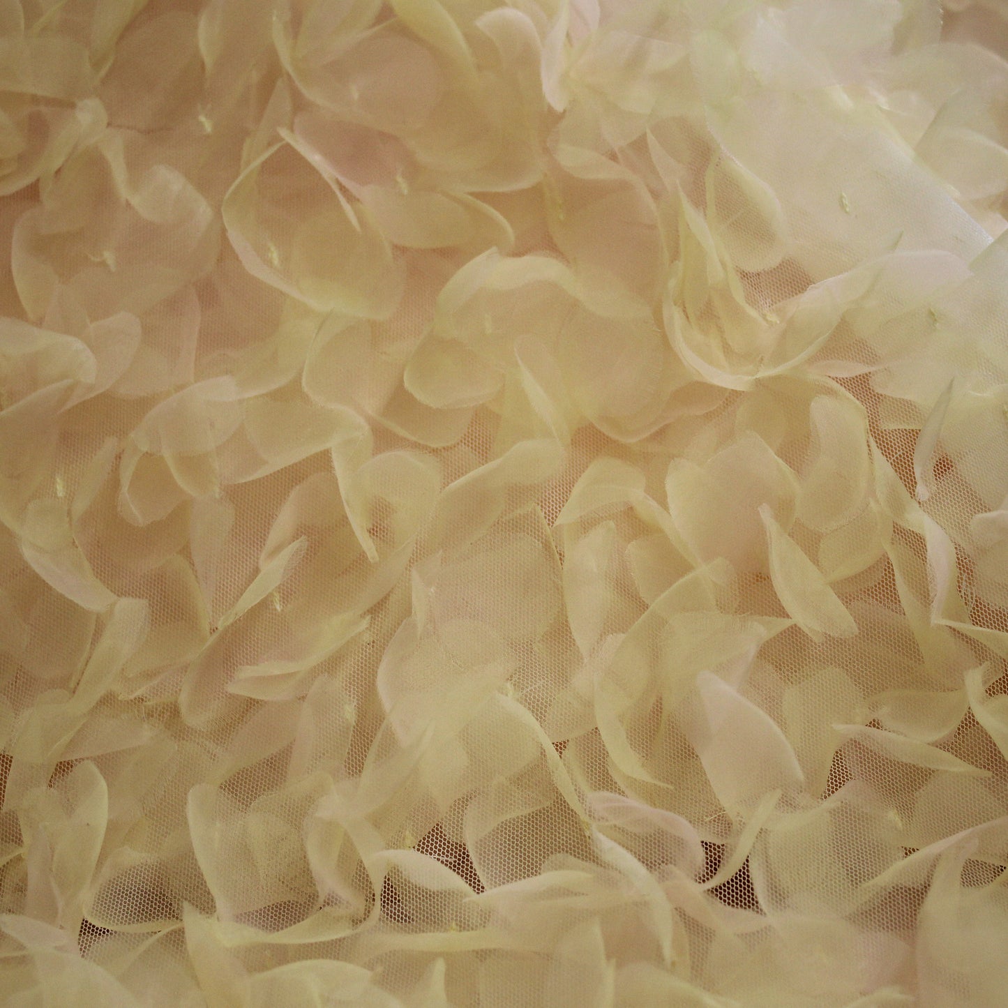 Tulle Ricamato con Petali 3D in Organza con Sfumatura