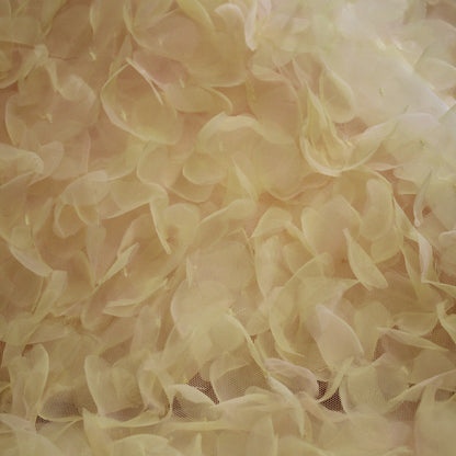 Tulle Ricamato con Petali 3D in Organza con Sfumatura