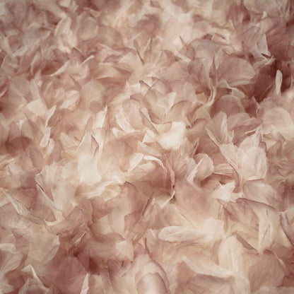 Tulle Ricamato con Petali di Fiori in Organza Multicolor