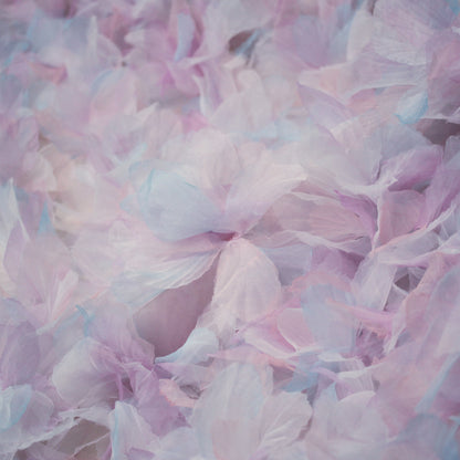 Tulle Ricamato con Petali di Fiori in Organza Multicolor
