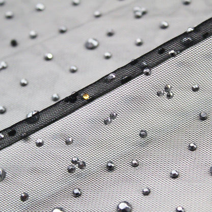 Embroidered Tulle with Silver Rhinestones