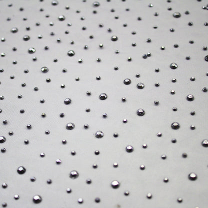 Embroidered Tulle with Silver Rhinestones